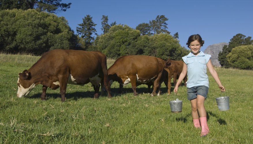 Visiting a farm and milking a real cow is a real life learning experience that can't be replicated by reading a book.
