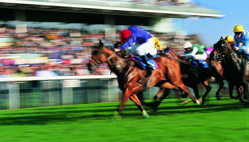 Horse racing remains a controversial sport.