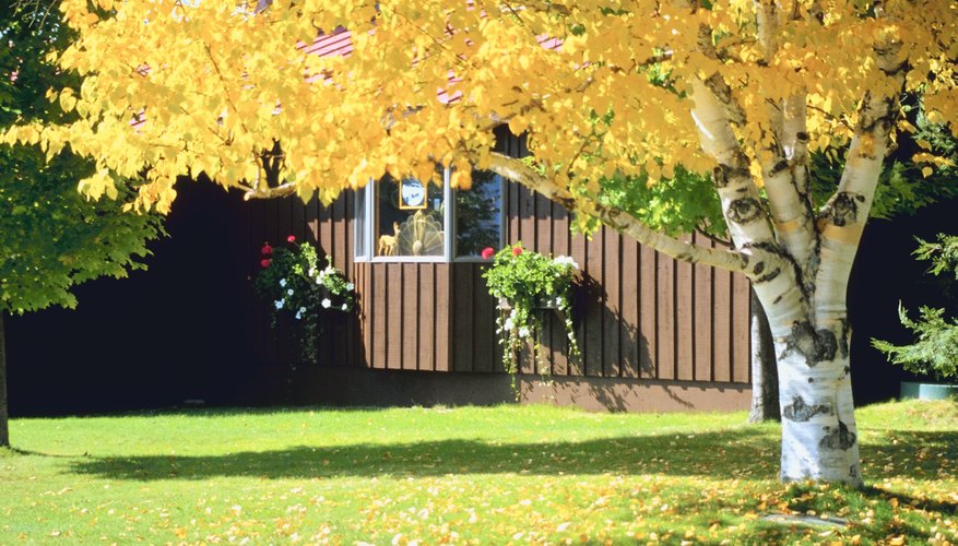 A sense-of-place essay describes the importance of a setting.