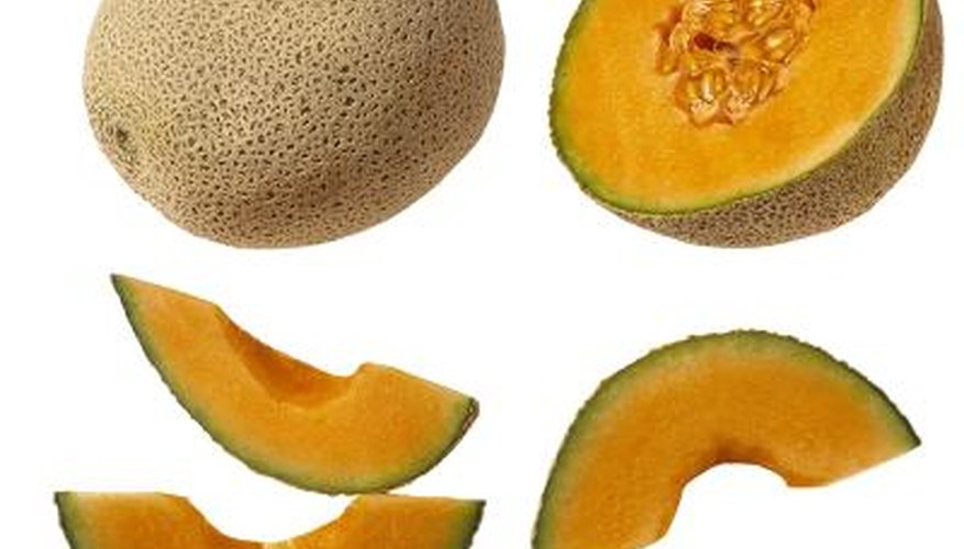 Their large number of seeds give cantaloupes a greater opportunity to disperse.