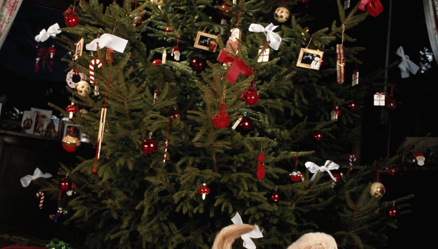 An animal can be very awkward as the wrong gift.