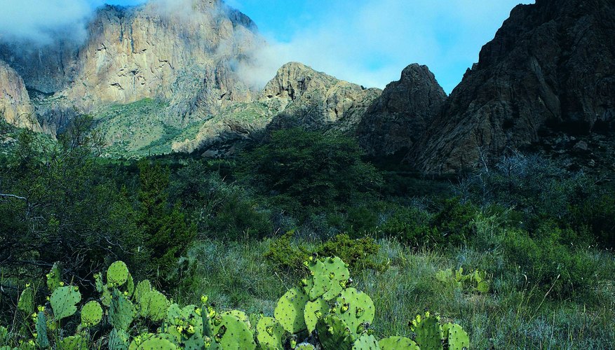 The Mexican War was fought partly over Texas' claim that its border extended to the Rio Grande.