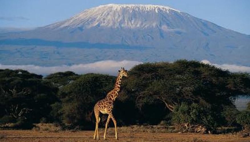 Tanzanite is found at the foot of Mount Kilimanjaro.