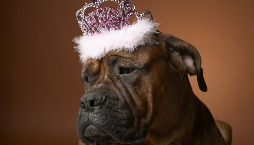 Forgetting a birthday can put someone in the doghouse.