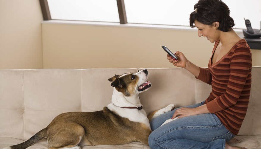 dog breeder receiving phone call