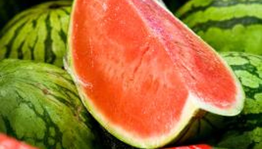 A fresh watermelon smells sweet and has a glossy green exterior.