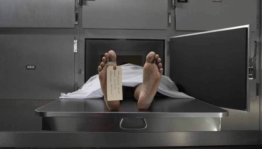 Hospital morticians maintain patients' dignity, even in death.