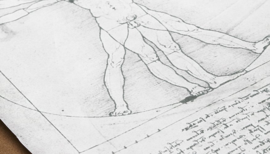Leonardo da Vinci often combined knowledge from multiple fields into single projects, reflecting the humanist ideal of seeking truth across multiple fields.