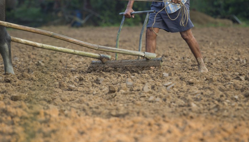 Man using a plow in his field
