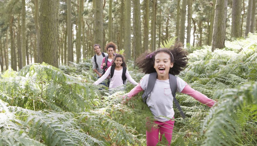 Students skipping through the forest.