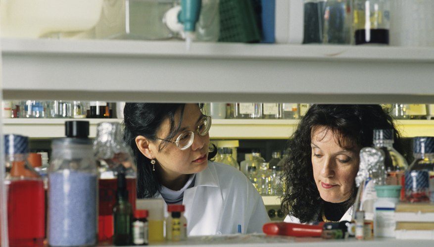 Another factor determining the length of time needed for your degree is the area of biology you study.