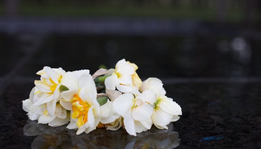 A memorial service is a time to share pain and fond memories.