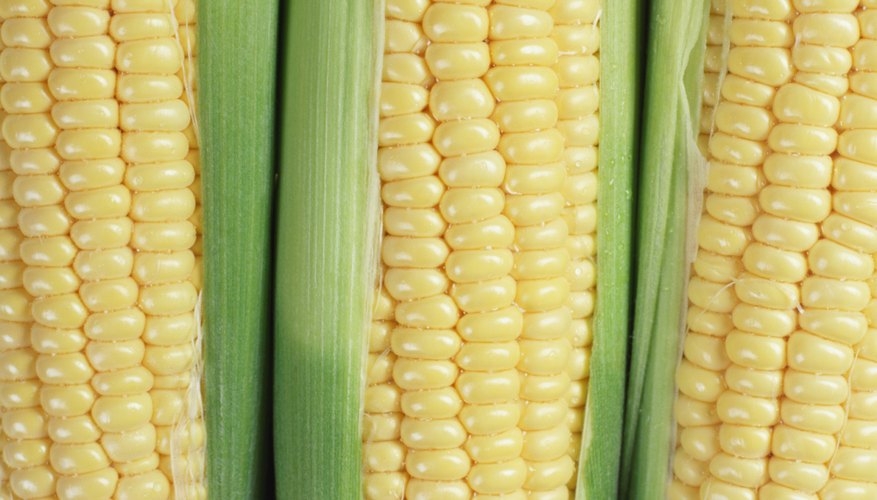The average Aztec ate a lot of corn every day.