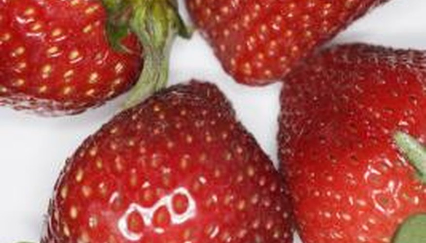 Why Do Strawberries Rot Before Ripening - Reasons For Rotten Strawberries  On The Plant