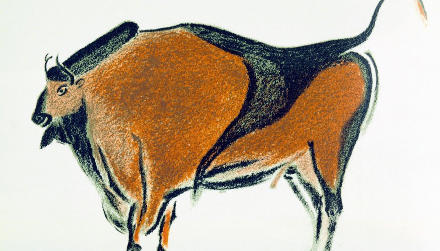 Ritual cave art -- a Paleolithic bison painted on a wall in Altamira, Spain.