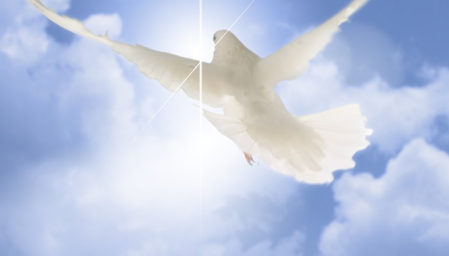 The Holy Spirit is often symbolized by a dove.