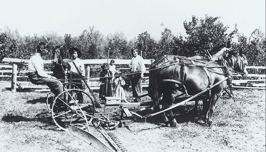 Russian agricultural production dropped drastically in the early years of Communist Party rule.