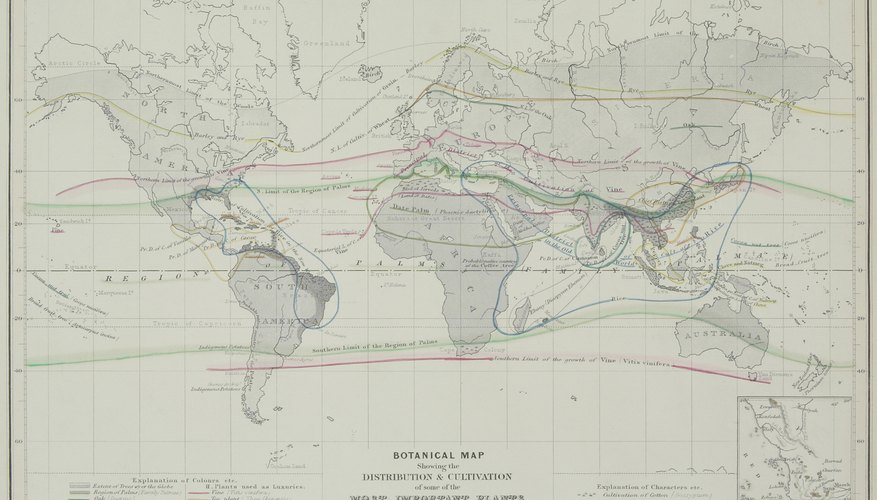 It's not too hard to imagine the continents fitting together.