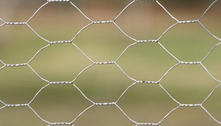 Fill gaps under your fencing with chicken wire.