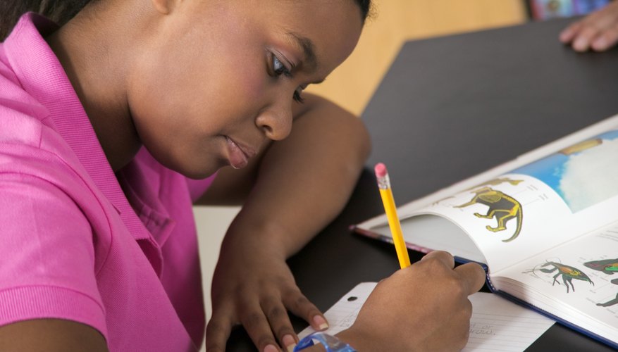 Tiered lessons take student interests into account.