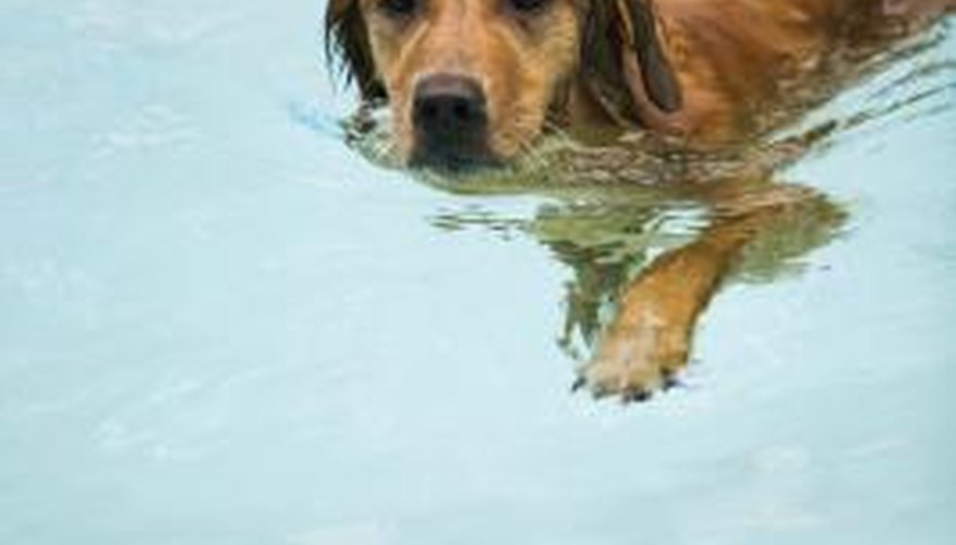 Swimming pools require thousands of gallons of water.