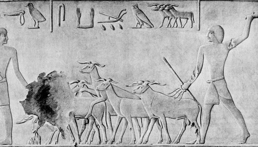 Ancient Egyptians lived close to nature.