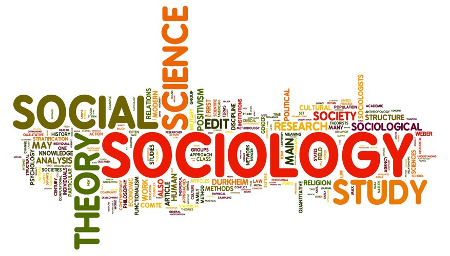 Sociologists explain how people work and live together in groups.