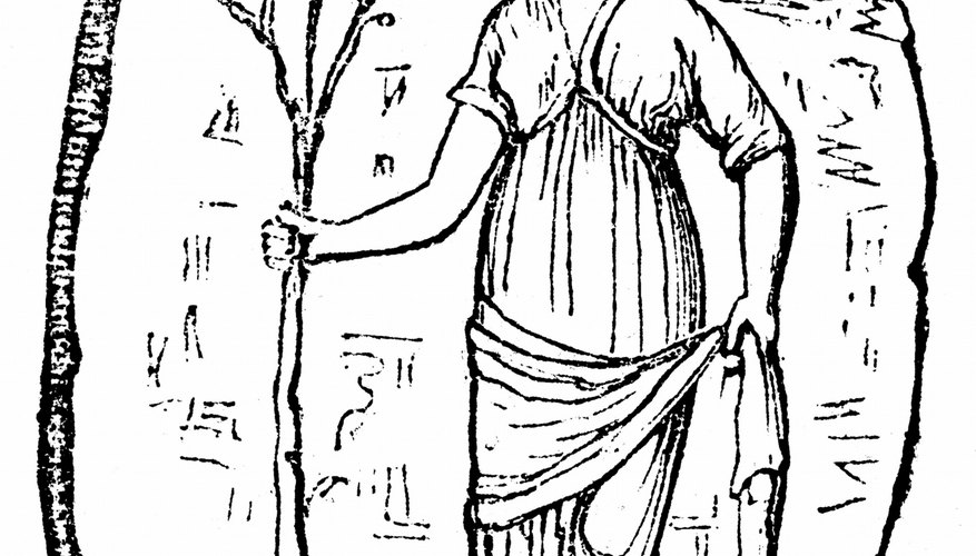 Athena planted an olive tree in Athens.