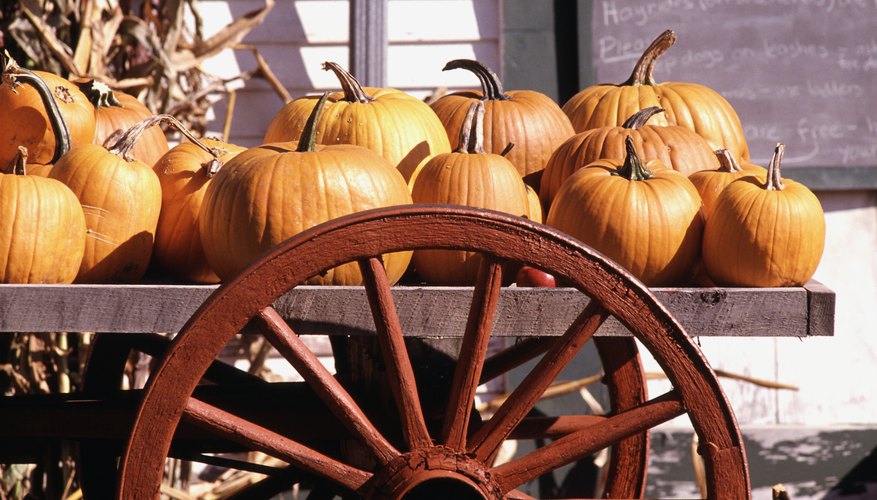 Pumpkins are part of the fall festival.