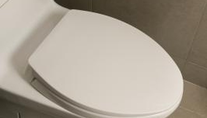 The humble toilet is a source for many plumbing issues in the home.