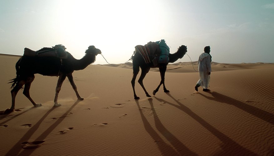 The desert Arabs had no problems adapting to a military life on the move.