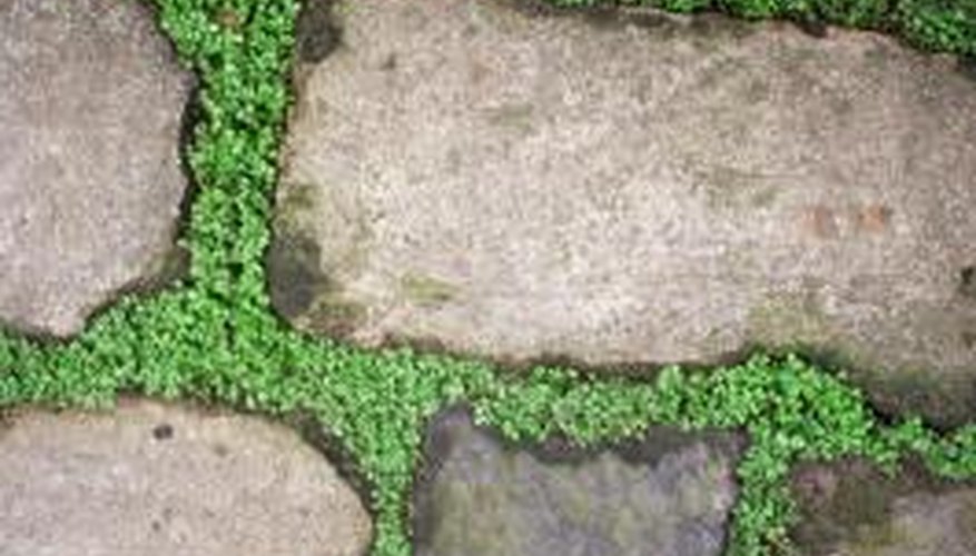 Flagstone paths can be created on flat or sloped areas.