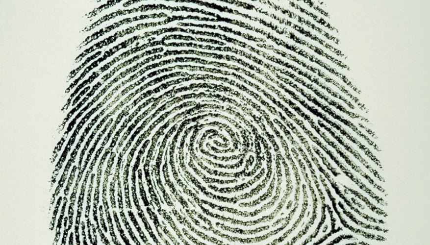 Children can identify the basic patterns found in fingerprints.