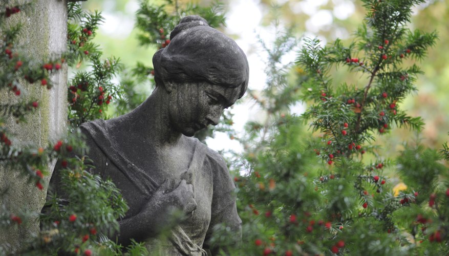 A close-up of a stone statue in a shrub with red berries at a cemetary.