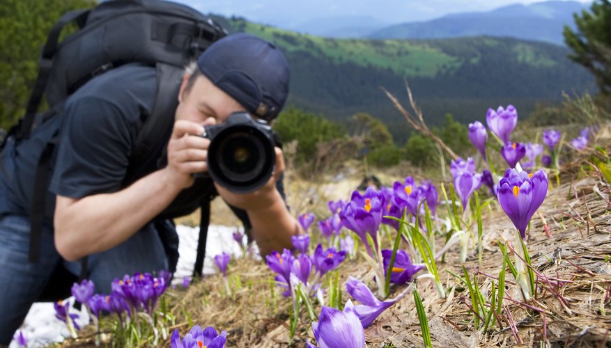 A high school student takes photographs of flowers for a nature club.