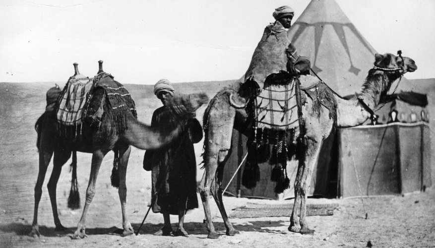 The pre-Islamic Bedouins were desert dwelling nomadic people who traveled in their camel-haired tents from oasis to oasis.