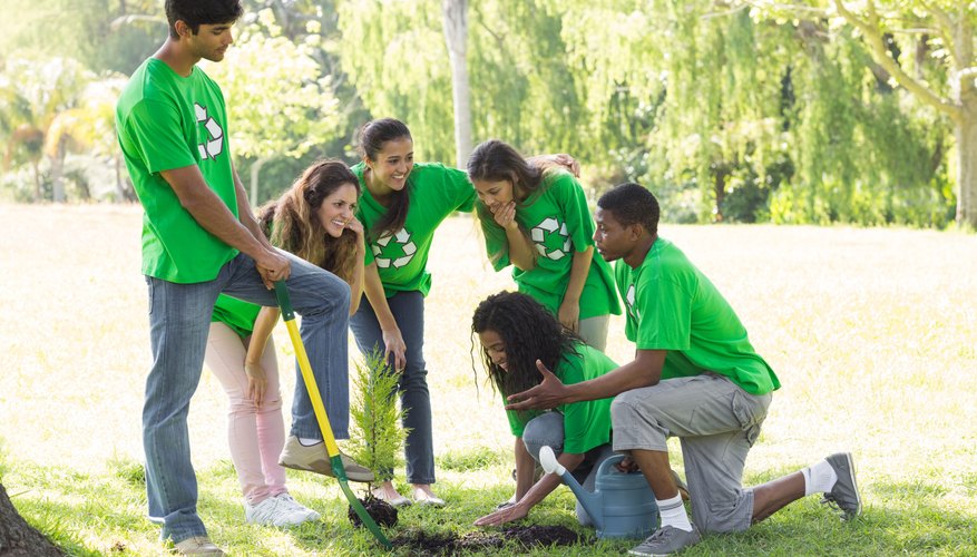 Community garden group planting a tree.