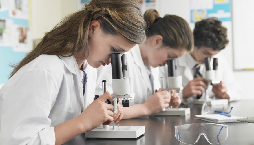 environmental science experiments for high school students
