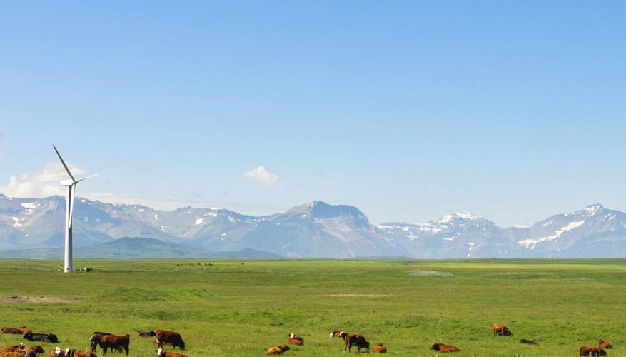 Athabasca University is located in Alberta.