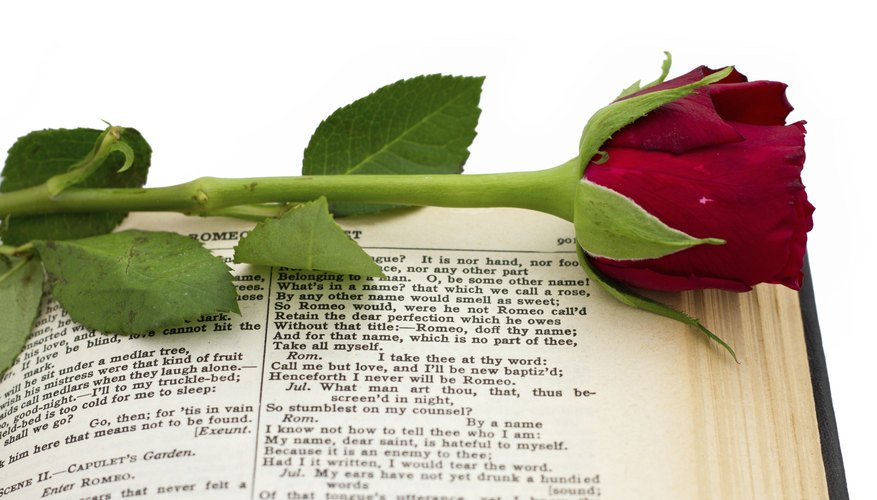 April 23rd is Shakespeares's birthday
