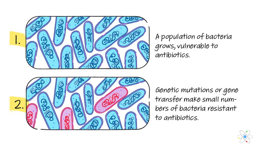 antibiotic-resistance-definition-causes-examples-sciencing