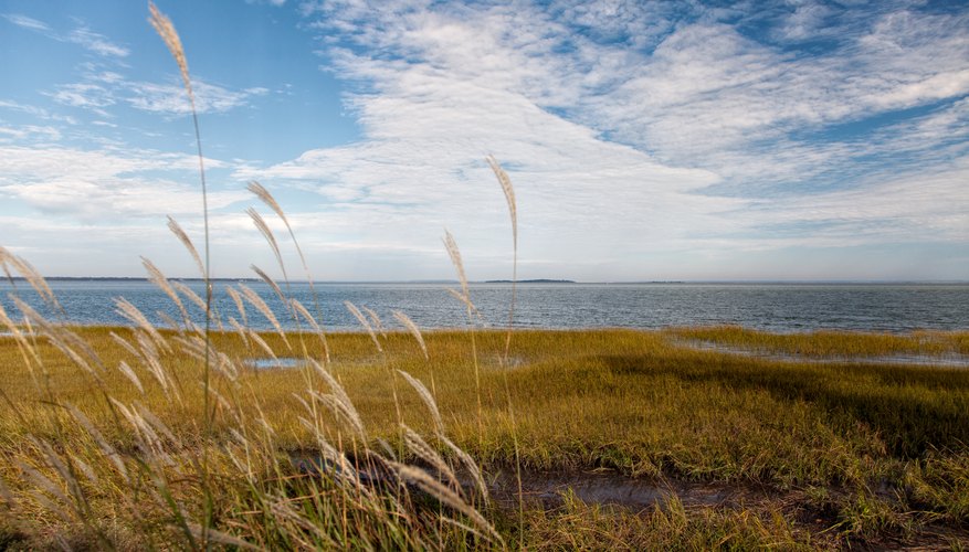 about-the-people-of-the-coastal-plains-sciencing