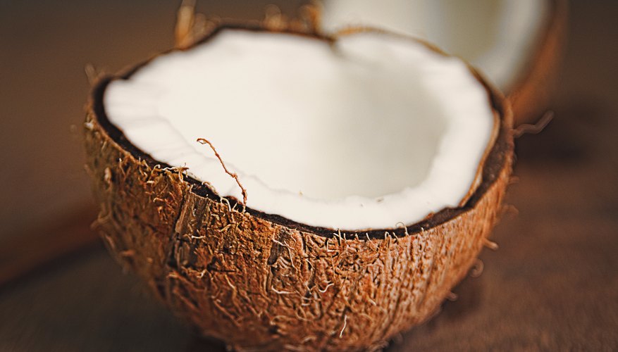 What Are the Adaptations of a Coconut Seed? | Sciencing