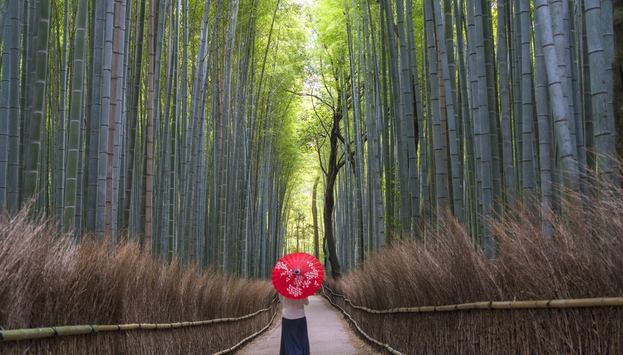What Is the Meaning of Color in Japanese Culture?