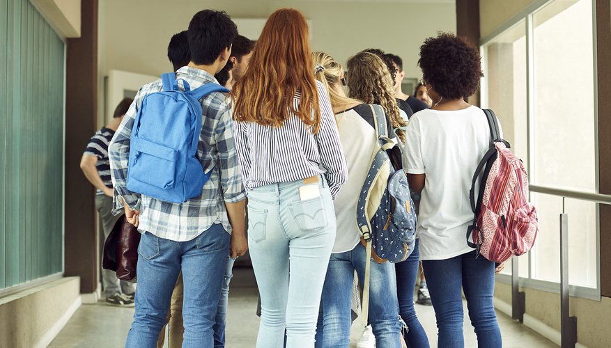 Role of Local Government in Education