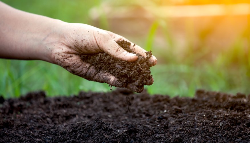 Types of Soil & Their Uses | Sciencing