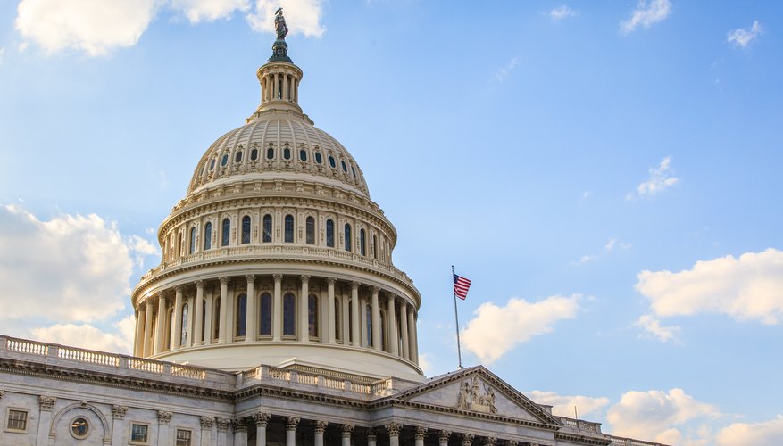 What Are the Major Ideas & Policies of Jacksonian Democracy?