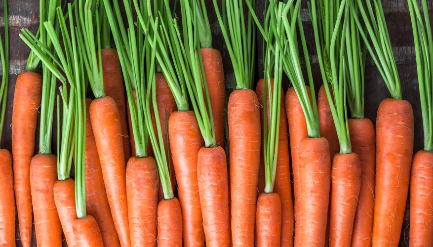 What Happens After You Put a Carrot in Saltwater? Sciencing