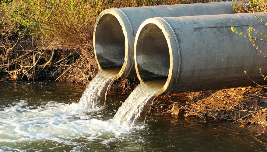 The Effects of Sewage on Aquatic Ecosystems