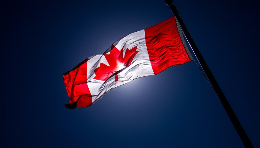 what-does-the-maple-leaf-on-the-canadian-flag-represent-synonym